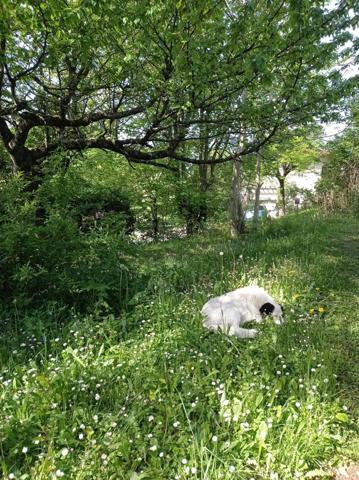 Herbeys : villa d'architecte T5 de 120 m² sur terrain 962 m²