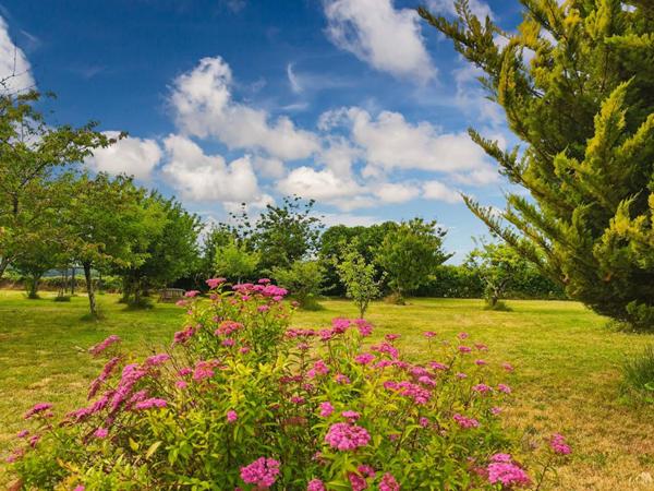 Maison plein pied, 5 pièces, grand terrain plat arboré et clôt, dépendances