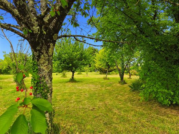 Maison plein pied, 5 pièces, grand terrain plat arboré et clôt, dépendances