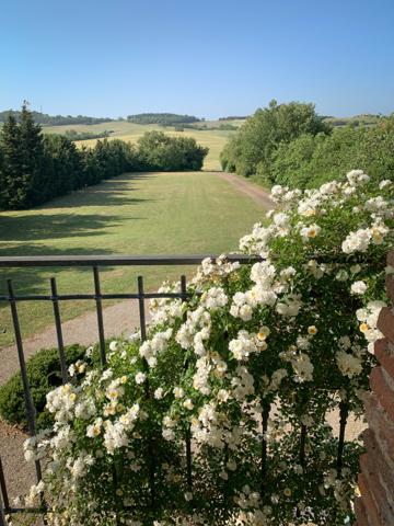 Propriété exceptionnelle proche Carcassonne sur 3 hectares Montréal (11290)
