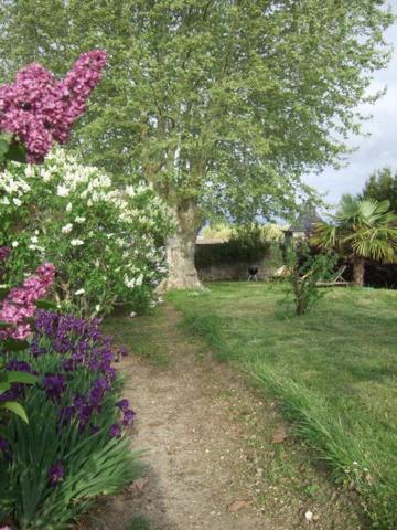Maison de charme en pierres à Pauillac 8 pièce(s) 220m2