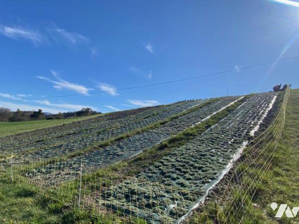 Vente Chalet T5 à Montclar + Sociétés