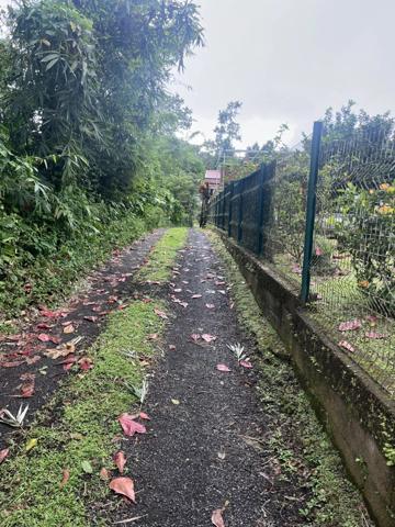 Vente Maison 3 pièces à L'Ajoupa-Bouillon