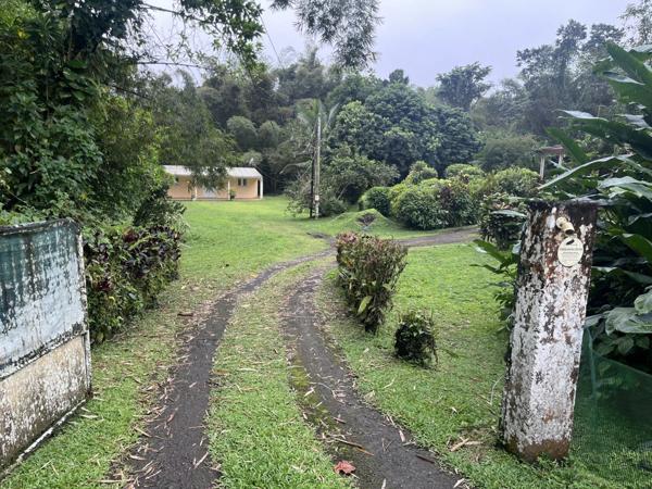 Vente Maison 3 pièces à L'Ajoupa-Bouillon