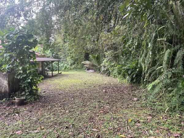 Vente Maison 3 pièces à L'Ajoupa-Bouillon