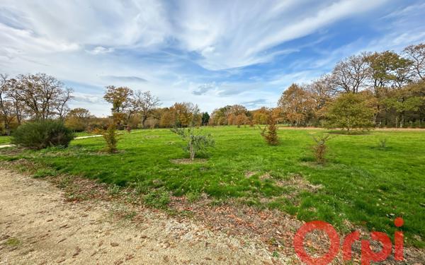 Maison à vendre    9 pièces • 295 m2 Vignoux-sur-Barangeon