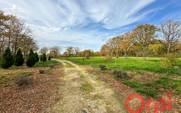 Maison à vendre    9 pièces • 295 m2 Vignoux-sur-Barangeon