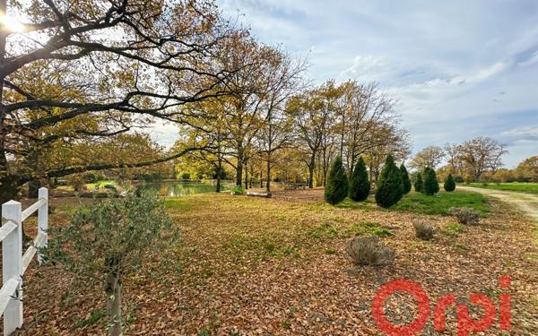 Maison à vendre    9 pièces • 295 m2 Vignoux-sur-Barangeon