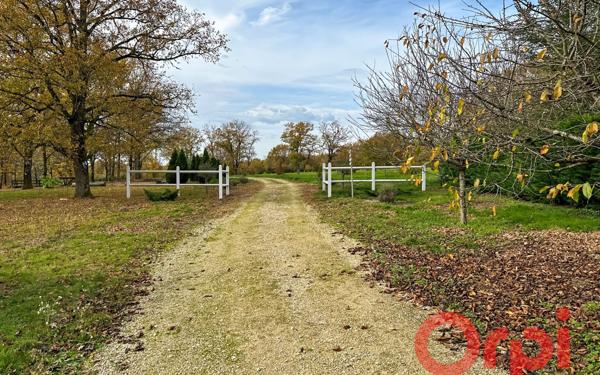Maison à vendre    9 pièces • 295 m2 Vignoux-sur-Barangeon