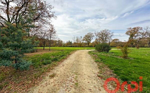 Maison à vendre    9 pièces • 295 m2 Vignoux-sur-Barangeon