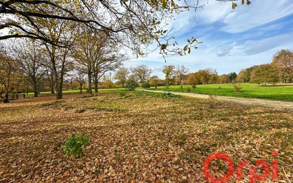 Maison à vendre    9 pièces • 295 m2 Vignoux-sur-Barangeon