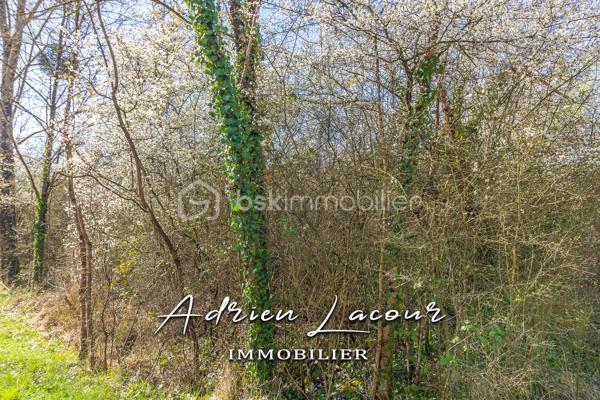 PRUNIERS-EN-SOLOGNE (41200) - Terrain de plus de 4 hectares en ZONE NATURELLE DE VALLÉE.
A découvrir!

Pour visiter et vous accompagner dans votre projet n'hésitez pas à me contacter, ADRIEN LACOUR.
- ESTIMATION GRATUITE DE VOTRE BIEN -