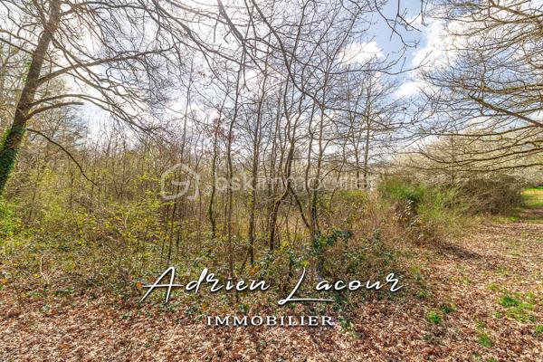 PRUNIERS-EN-SOLOGNE (41200) - Terrain de plus de 4 hectares en ZONE NATURELLE DE VALLÉE.
A découvrir!

Pour visiter et vous accompagner dans votre projet n'hésitez pas à me contacter, ADRIEN LACOUR.
- ESTIMATION GRATUITE DE VOTRE BIEN -