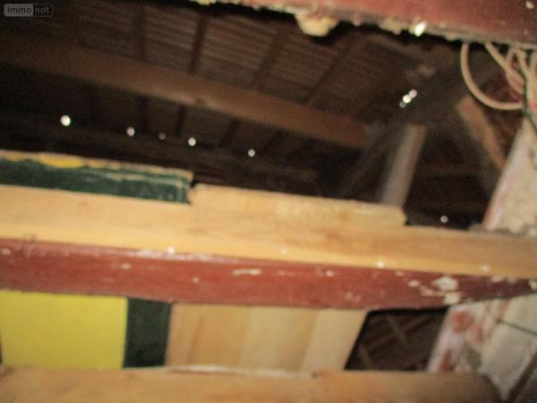 Maison à restaurer à vendre à Dun-le-Poëlier dans l'Indre (36210), ref : 44