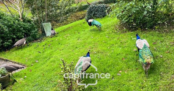 Dpt Morbihan (56), à vendre ROHAN propriete P17 de 338 m² - Terrain de 31 655 m²