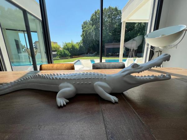 Maison d'Architecte de 200m2 de plain pied, situation et cadre exceptionnel