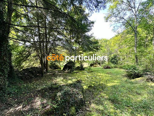 Vente Maison50 m² - 2 Pièces - BRIVES CHARENSAC (43700)