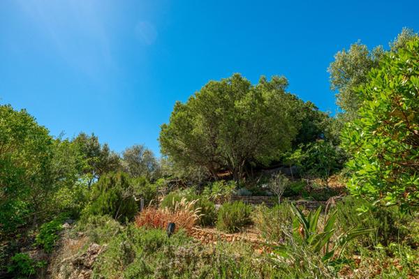 Vente Villa de luxe Ajaccio 11 Pièces 315 m²