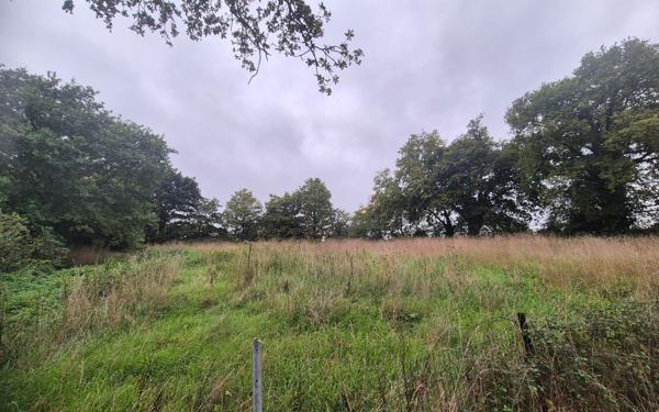 Maison à vendre    2 pièces •  Martigné-Ferchaud