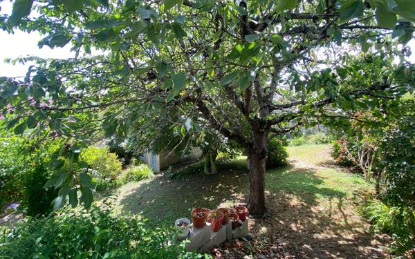 Maison à vendre    4 pièces •  Castelsarrasin