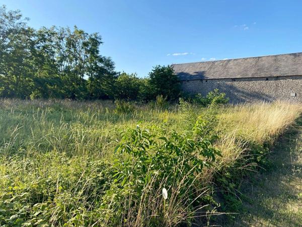 Vente Terrain 701 m2 à Beauce la Romaine