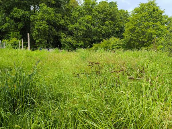 Jolie maison en pierre à rénover