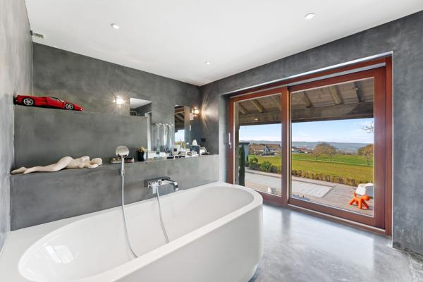Vente Corps de ferme Archamps 21 Pièces 1700 m²