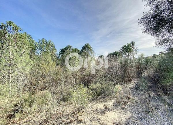 Terrain à vendre    Trouillas