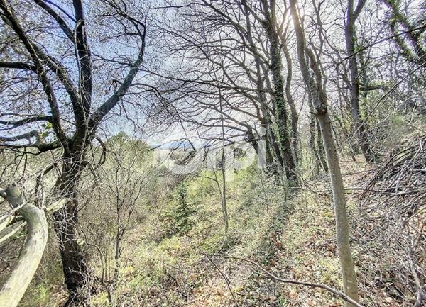 Terrain à vendre    Trouillas