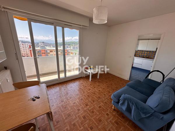 T2 MEUBLE VUE DEGAGEE CENTRE VILLE AVEC CAVE