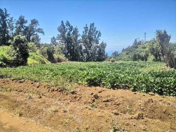 TERRAIN  PLAT A BATIR PLAINE DES GREGUES