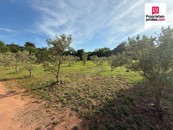 Magnifique Villa à proximité de la plaine des maures