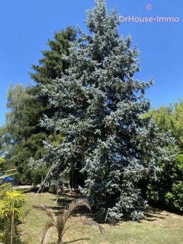 Maison à vendre 7 pièces de 235 m²