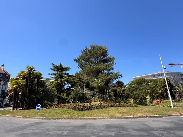 La Baule Les pins / Lajarrige