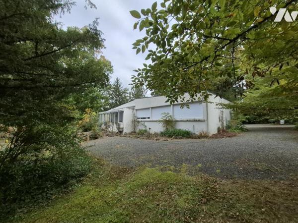 LE HAMEAU DES GREZILLIERES MAISON VASTE TERRAIN ARBORE