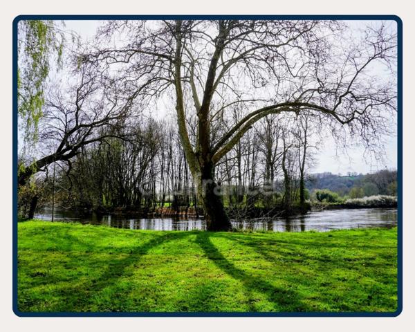 Dpt Corrèze (19), à vendre Bâtiment
