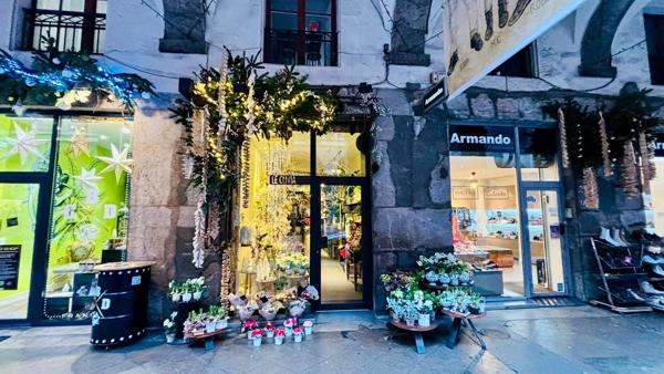 Vente Murs et Fonds de commerce, Emplacement rare Chambéry 73000