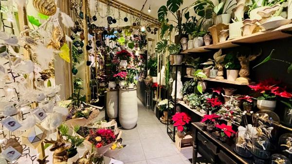 Vente Murs et Fonds de commerce, Emplacement rare Chambéry 73000