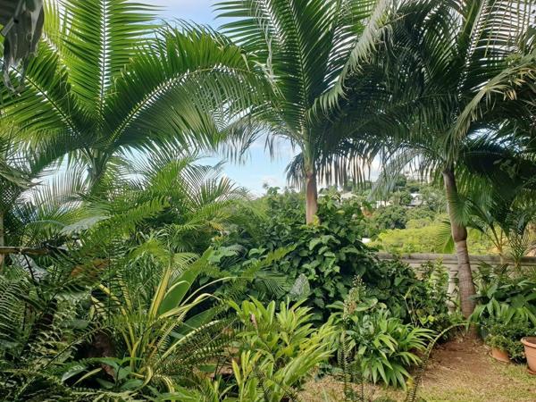 Villa 4 chambres avec dépendance sur la colline des camelias