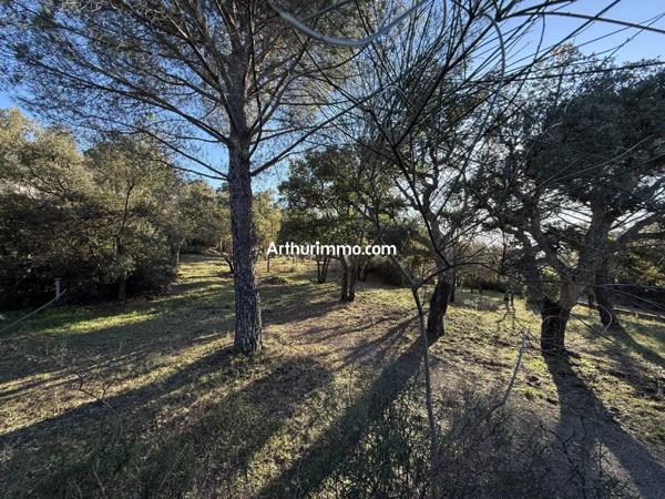 Vente Terrain 1272 m2 à Vidauban