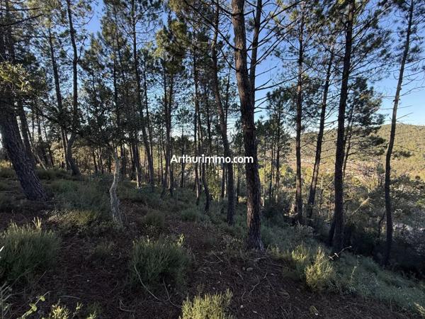 Vente Terrain 1272 m2 à Vidauban