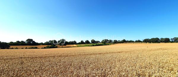 Magnifique propriété au cœur de la campagne mayennaise à seulement 10 minutes de Laval.

Venez découvrir cette longère de 287 m2 environ totalement rénovée. Vous apprécierez le cachet de la pierre et le confort d'un aménagement moderne. De grandes parties vitrées offrent une vue permanente sur la nature.  
Composée au rez-de-chaussée d'une vaste pièce à vivre comprenant salon-séjour et cuisine baignée de lumière de près de 60 m2 avec accès à la terrasse, 1 suite parentale avec salle d'eau et dressing, 3 autres chambres dont une avec salle de bains, 1 buanderie et un wc.
L'accès à l'étage se fait par un escalier et une passerelle suspendue en métal au design industriel. Une vaste mezzanine de plus de 40 m2 très lumineuse avec ses grandes verrières est utilisée actuellement comme salle de jeu pour les enfants complétée par un bureau indépendant. Un couloir dessert 3 chambres dont une actuellement utilisée comme studio de musique, 1 bureau, 1 salle d'eau avec un sauna et 1 wc. 
Cette bâtisse repose sur une parcelle de plus de 4 ha clôturée avec son cabanon de jardin, un puits et des boxes à chevaux.
De nombreux arbres ont été plantés .

Envie de nature, de calme et de grands espaces, je vous invite à venir découvrir cette superbe propriété. 

Pompe à chaleur, chauffage au sol au rez-de-chaussée, ballon thermodynamique. 
Taxe foncière : 1663 euros/an. 
Assainissement individuel.