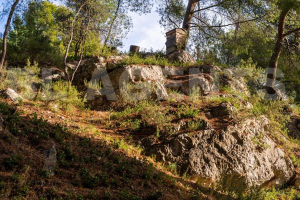 Villa d'architecte Alluch