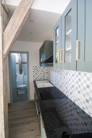 A VENDRE Exceptionnel T2 Bis avec Mezzanine Hôtel Particulier Dijon Centre (Place Bossuet)