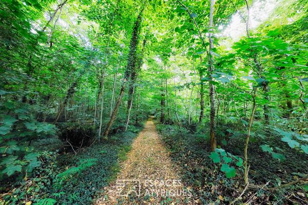Un domaine rare de 5 hectares en lisière de forêt