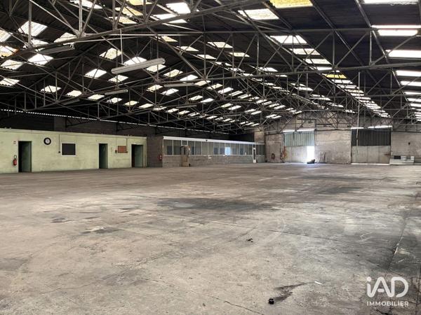 Location local d’activité 1 500 m² Les Ponts-de-Cé