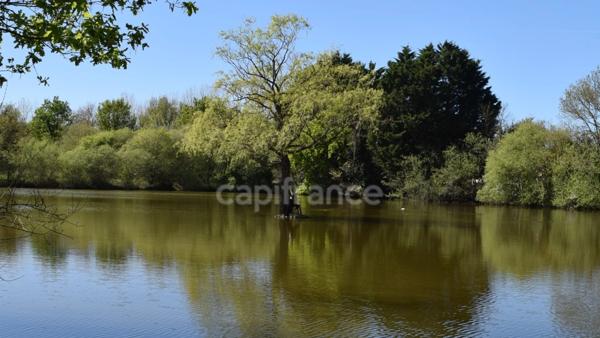 Maison à vendre 10 pièces SAINT URBAIN (85)