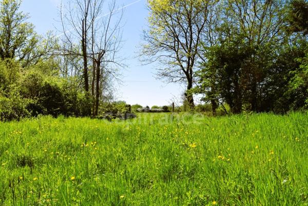 Maison à vendre 10 pièces SAINT URBAIN (85)