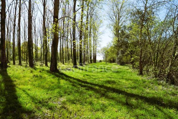 Maison à vendre 10 pièces SAINT URBAIN (85)