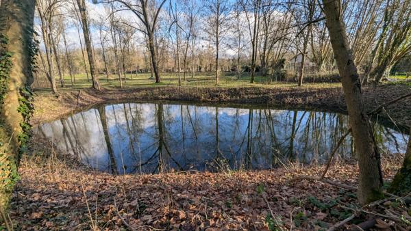Terrain de loisir